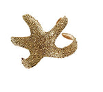 Arras Creations Fashion Trendy Starfish Cuff Bracelet for Women / AZBRCU108