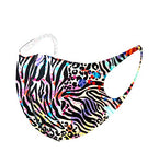 Set of 2 - Fashion Polka Dot & Multi Color Animal Zebra Print Mask for Men & Women / AZMF0401-ZMB