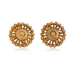 Exclusive Imitation High Finish Gold Plated Earrings / AZIEGT401-AGL