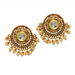 Exclusive Imitation High Finish Gold Plated Earrings / AZIEGT402-AGL